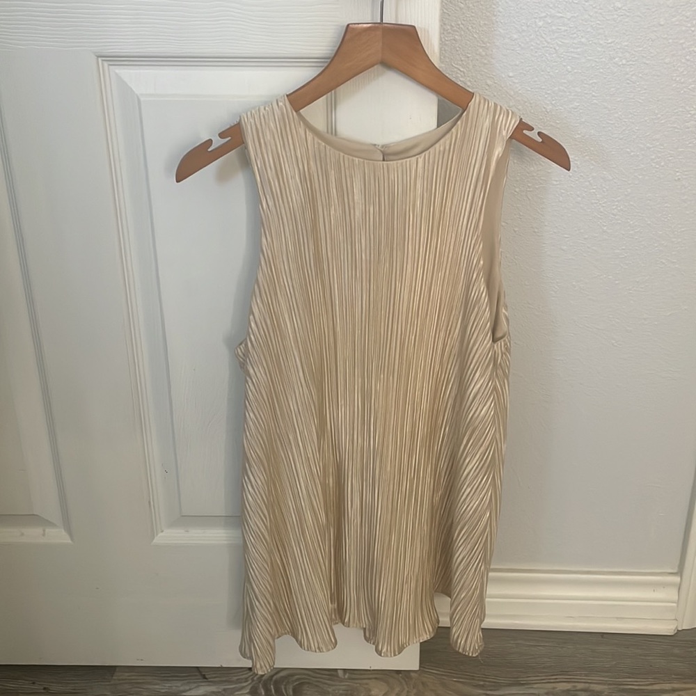 Target Champagne Tunic Tank